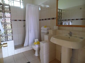 A bathroom with a shower, toilet, sink, and a mirror.