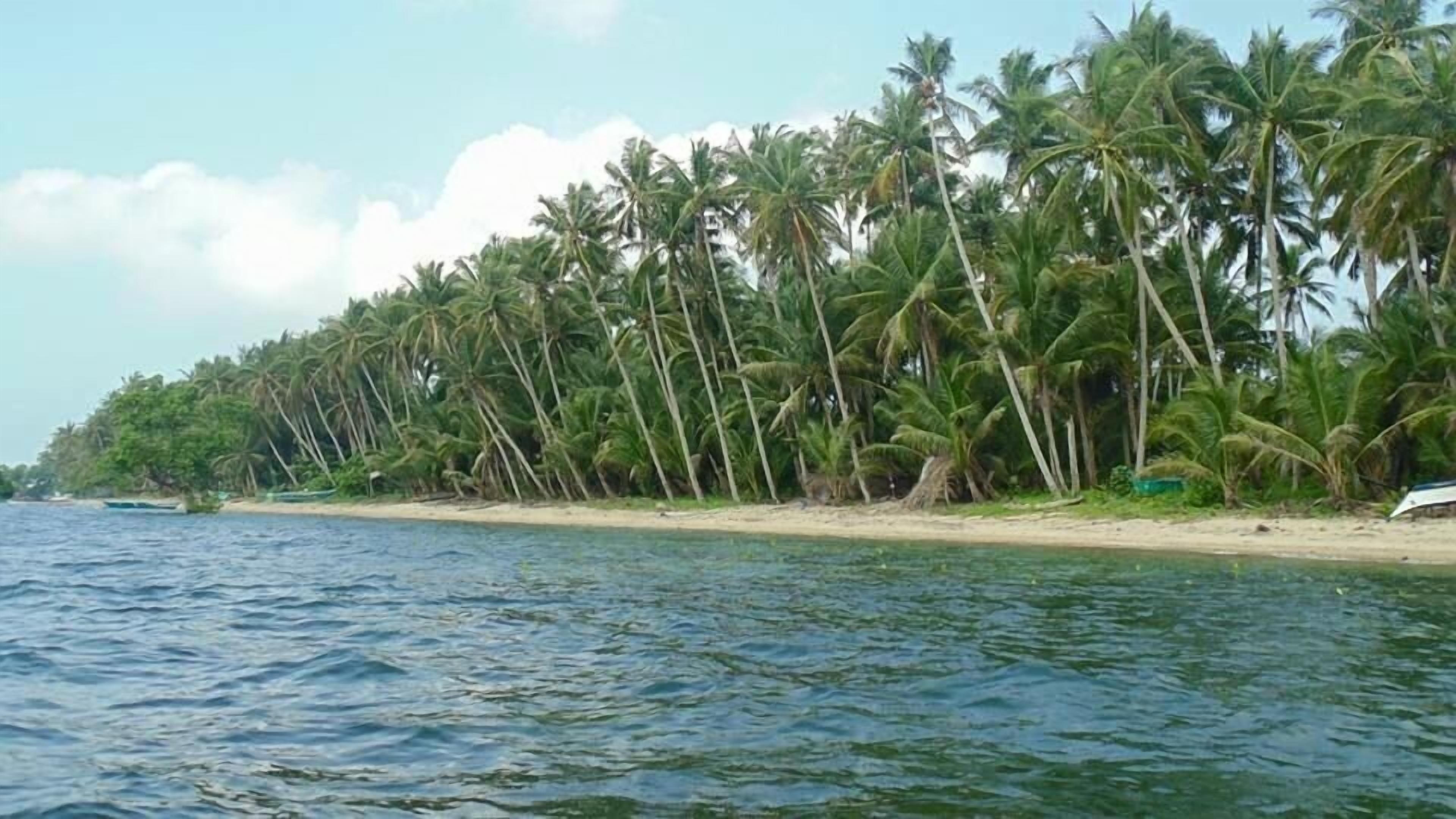On the beach, beach cabanas, sun loungers, beach massages