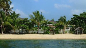 En fastighet som ligger vid stranden, med en sandstrand, palmer och ett hus med en inhägnad trädgård.