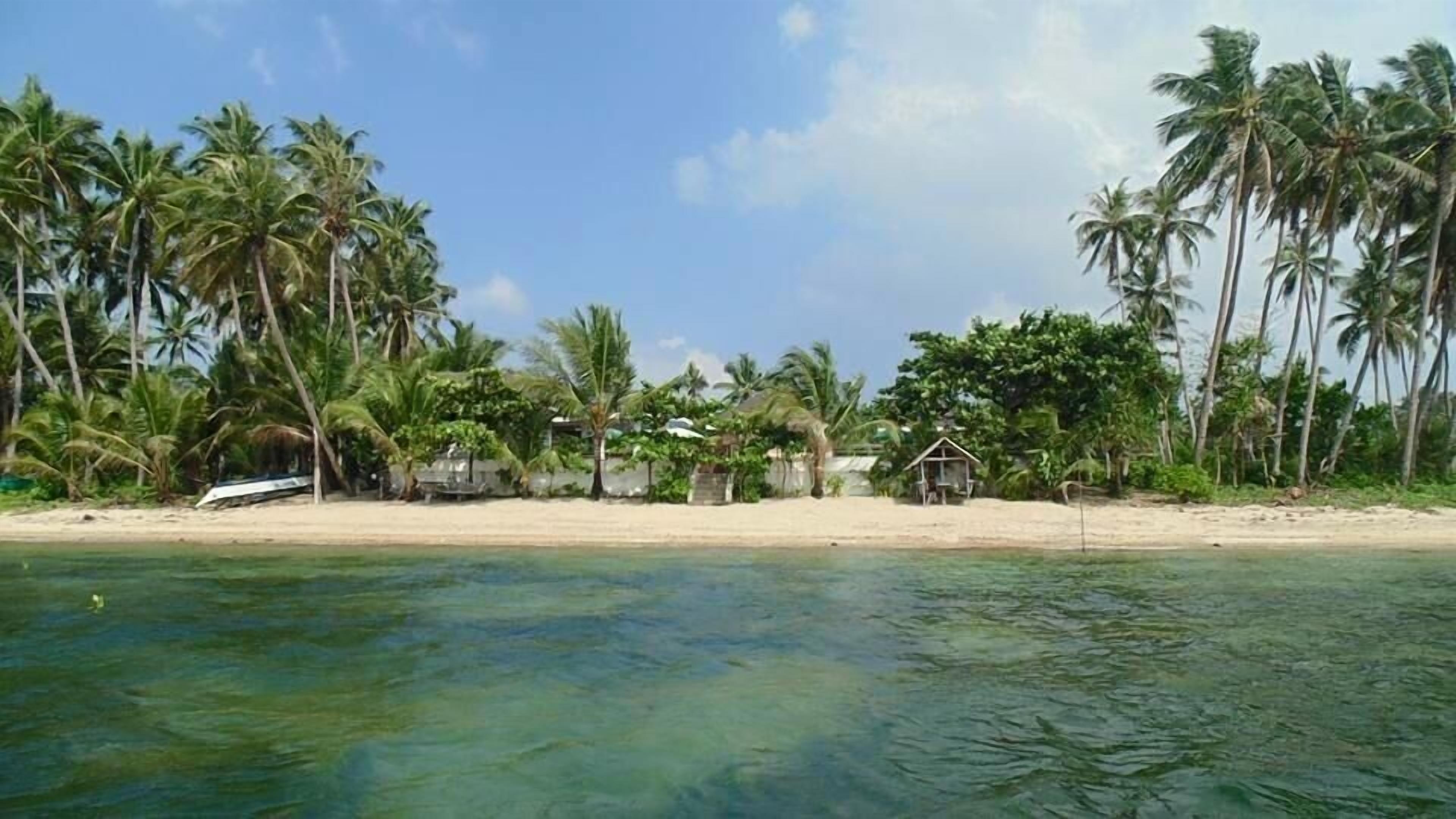 A beach with palm trees and a small hut.