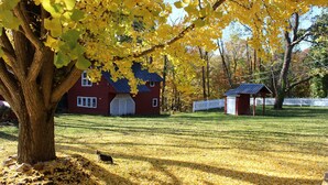 A house with a red exterior and a small shed in a yard with yellow leaves. - Millsap-baker Estate (Damascus)