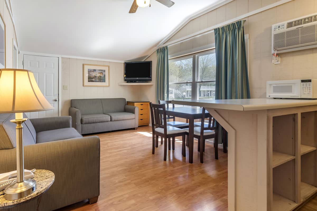A compact living space with a sofa, a dining table with chairs, a lamp, a television, and a microwave.