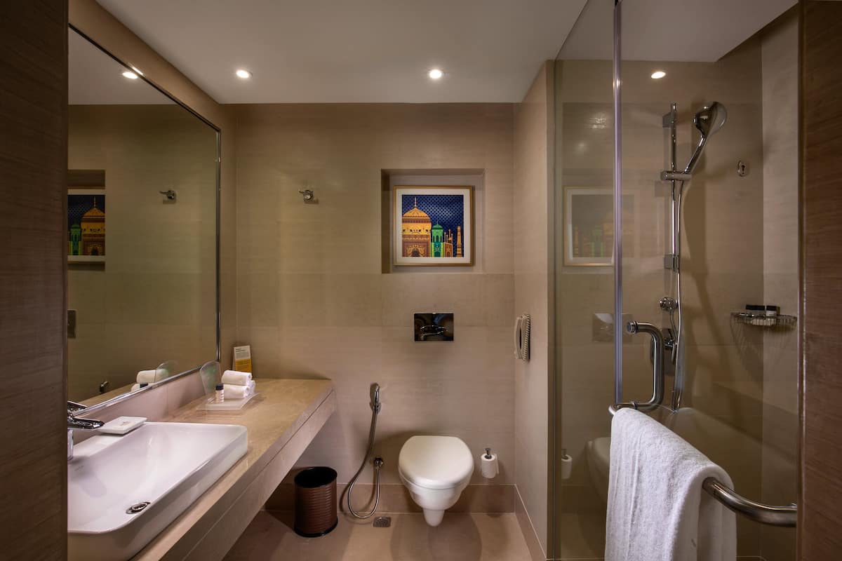 shower, hydromassage showerhead, free toiletries, hair dryer