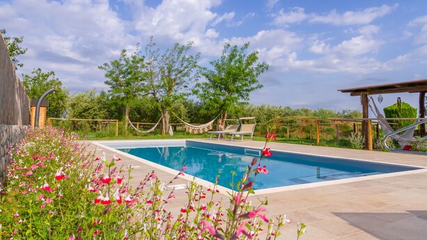 Une piscine dotée d’une terrasse en bois, entourée de plantes et d’arbres en fleurs.