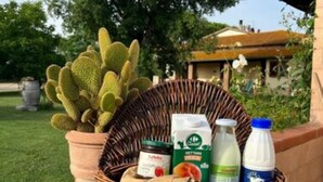 Un panier en osier contenant un cactus en pot, un bocal de confiture et des bouteilles de lait, le tout posé sur une étagère en briques.