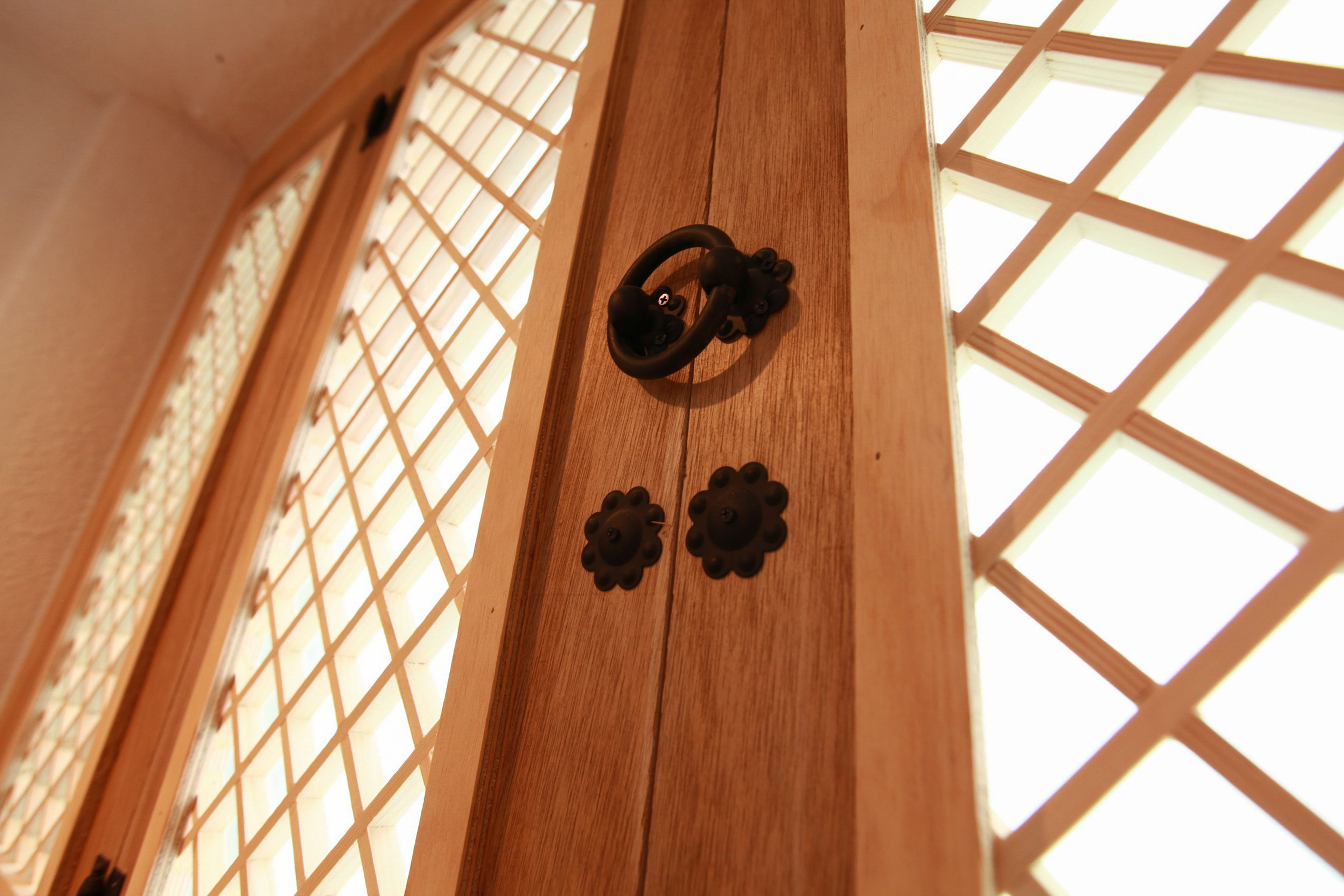 Photo - Travel Monster