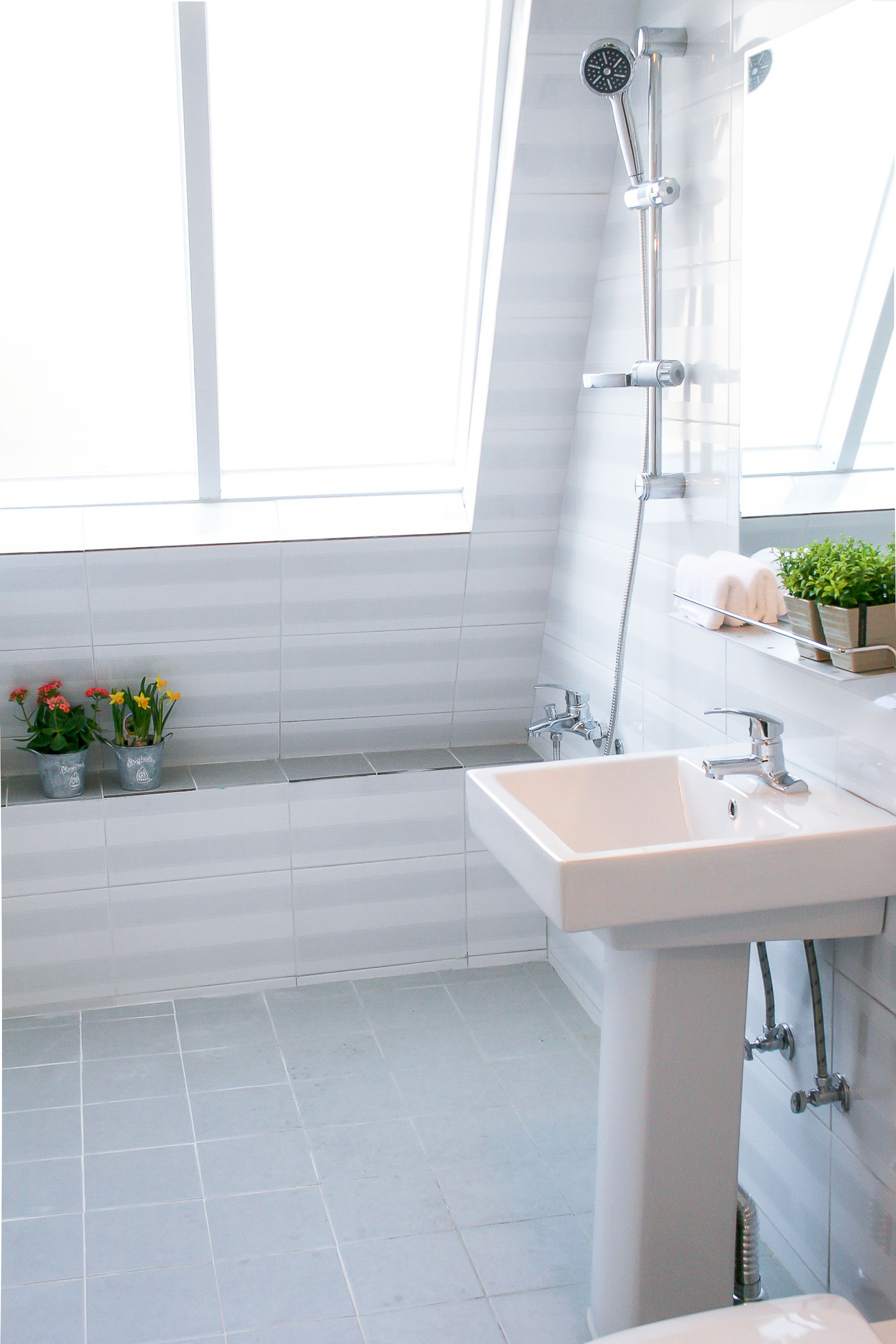 Photo - Travel Monster