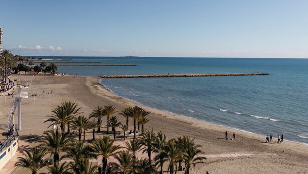 A beach with palm trees, a pier, and a clear blue sky. - Hotel Polamar  (Santa Pola)