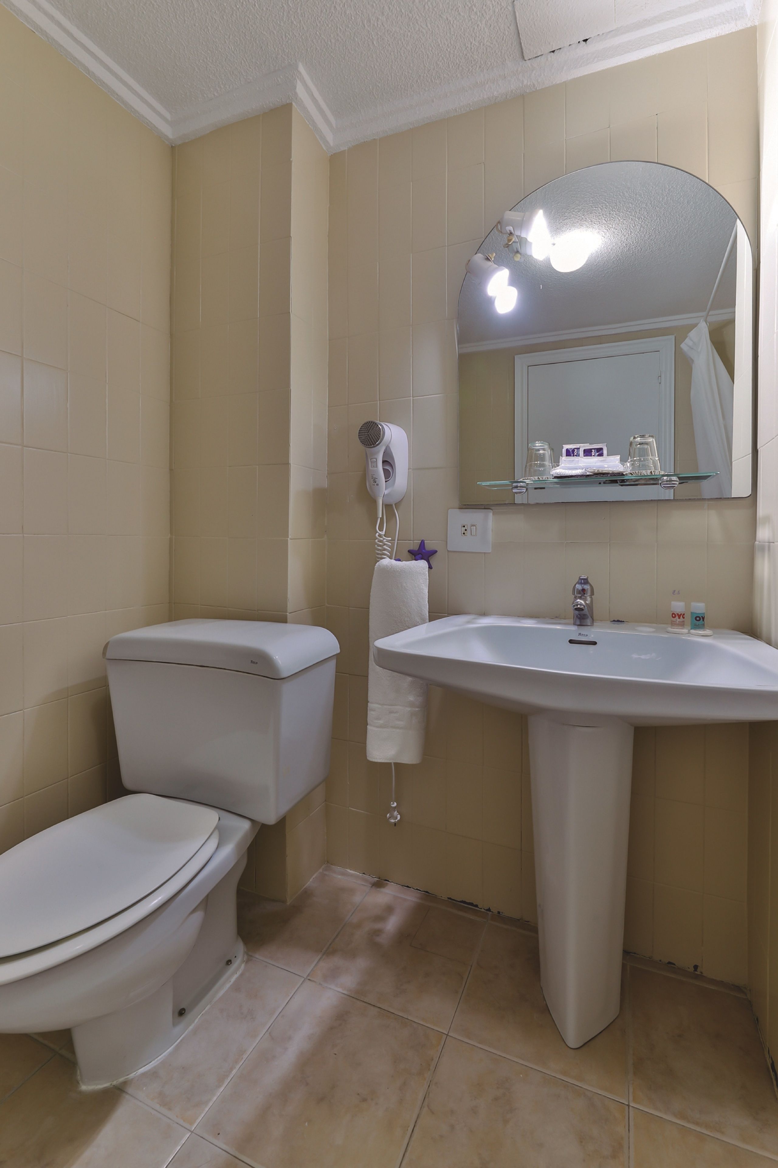 Une salle de bain avec des toilettes, un lavabo et un miroir.
