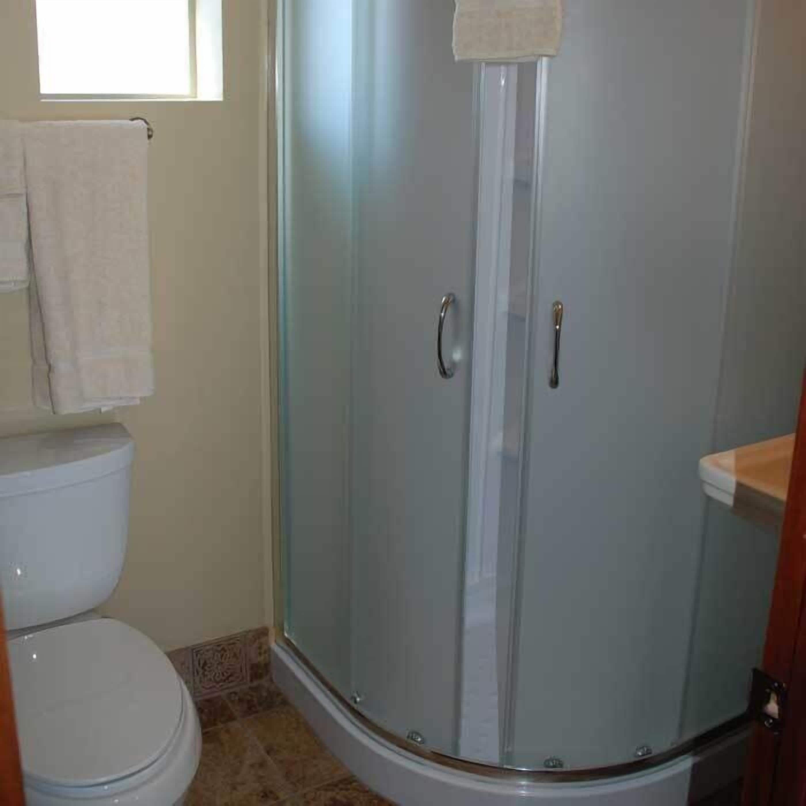 Eine Duschkabine mit Toilette und Handtuchhalter im Badezimmer.
