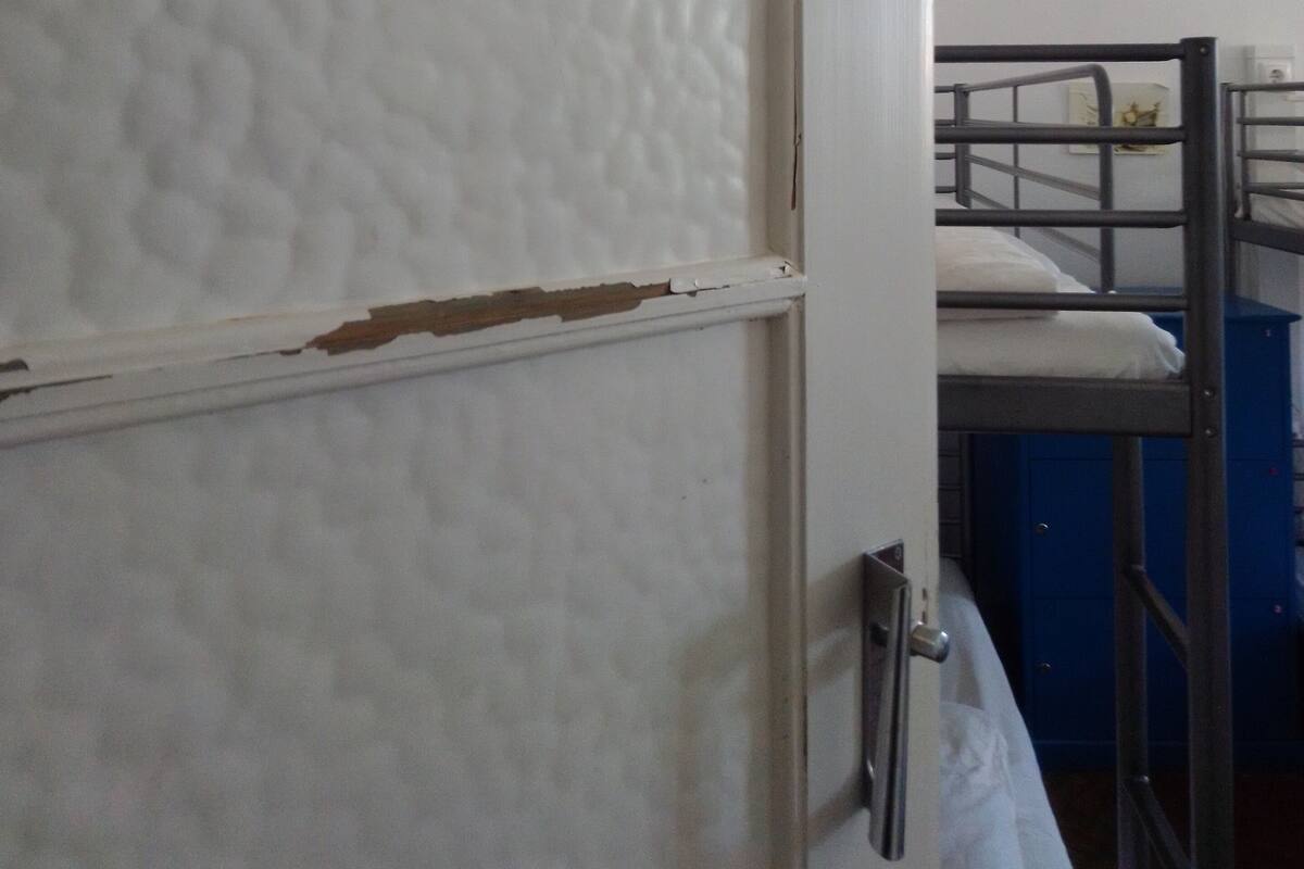 Dormitorio compartido, solo para mujeres (6 Beds) | Servicio de la habitación