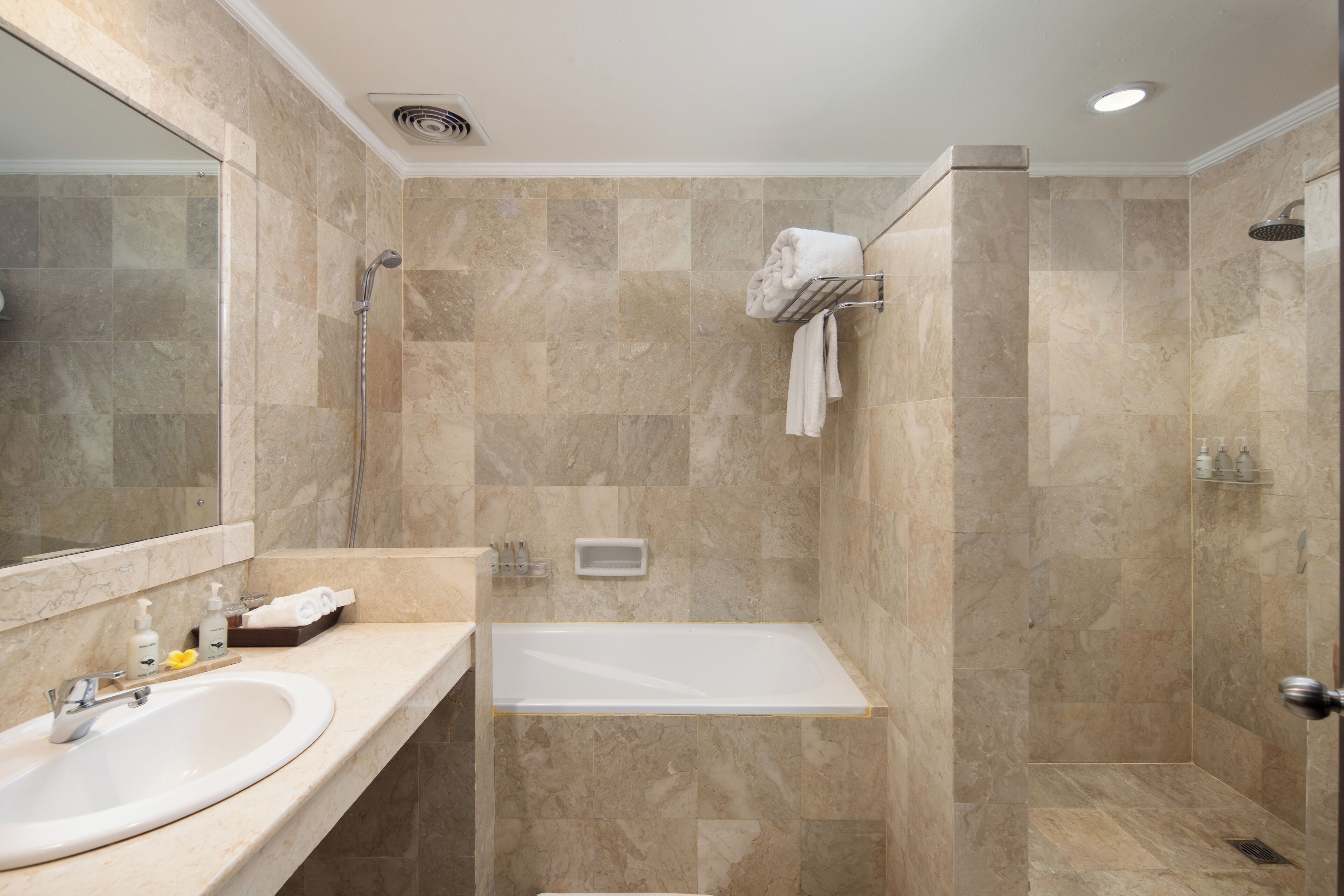 A modern bathroom with a bathtub, a shower, and a sink.