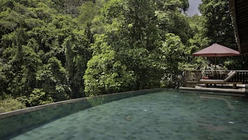 Une piscine à débordement offrant une vue dégagée sur une végétation luxuriante et une terrasse en bois agrémentée d’un parasol rouge.