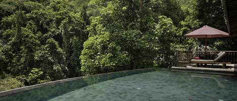 An infinity pool with a clear view of lush greenery and a wooden deck with a red umbrella.
