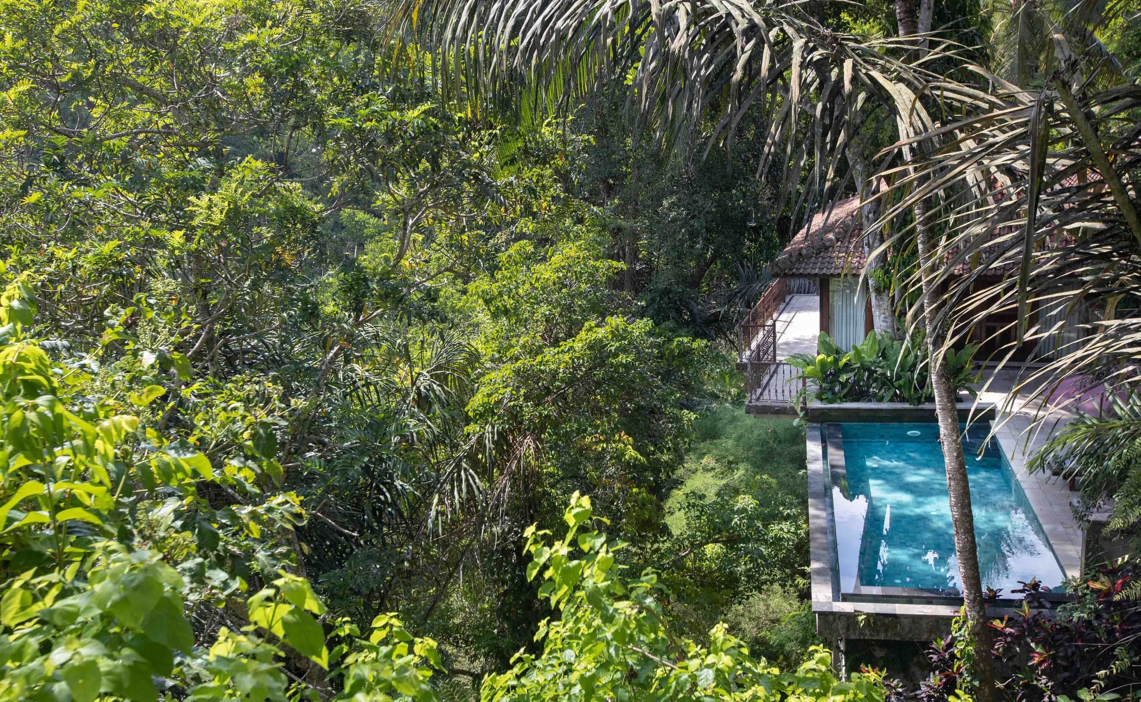 Un cadre luxuriant et tropical, avec une piscine entourée d’une végétation dense et un bâtiment de style traditionnel.