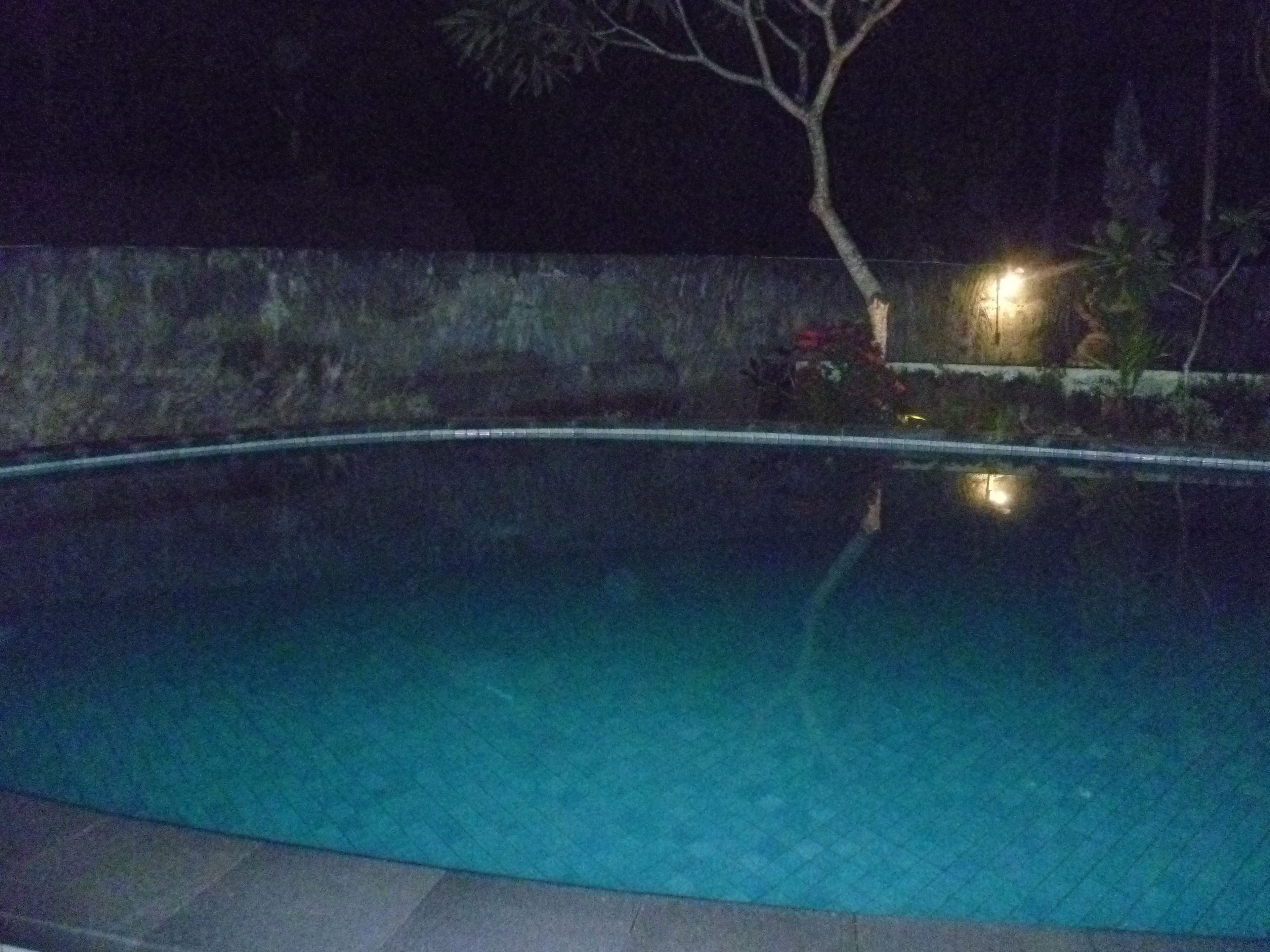 Ein Nachtblick auf einen Pool mit Fliesenrand, einer Steinmauer und einem Baum.