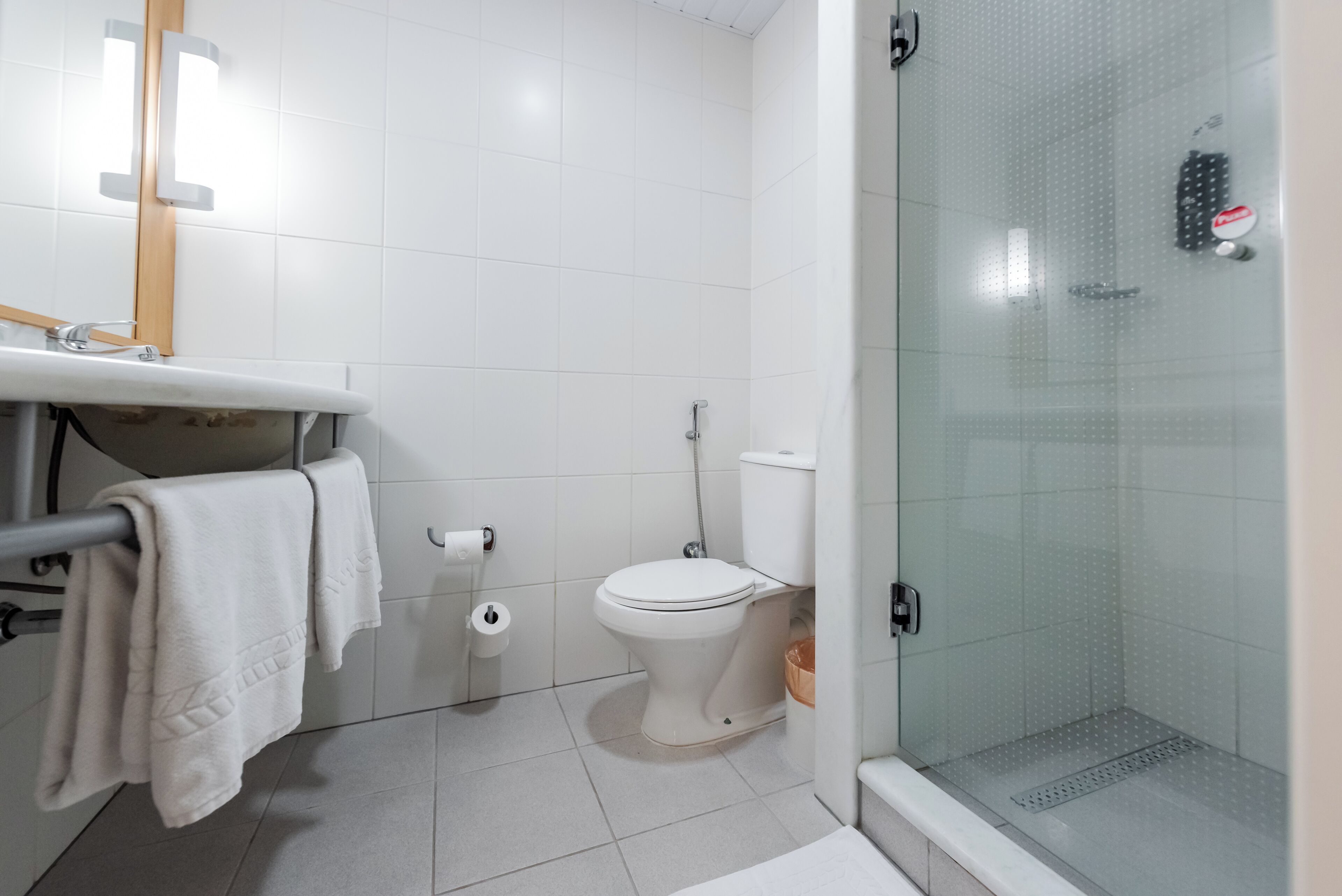 Foto - ibis Novo Hamburgo