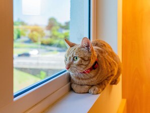 Exterior - Ibis Novo Hamburgo (Novo Hamburgo)