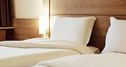 Ibis Novo Hamburgo