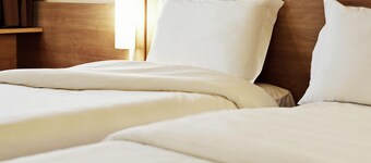 Ibis Novo Hamburgo