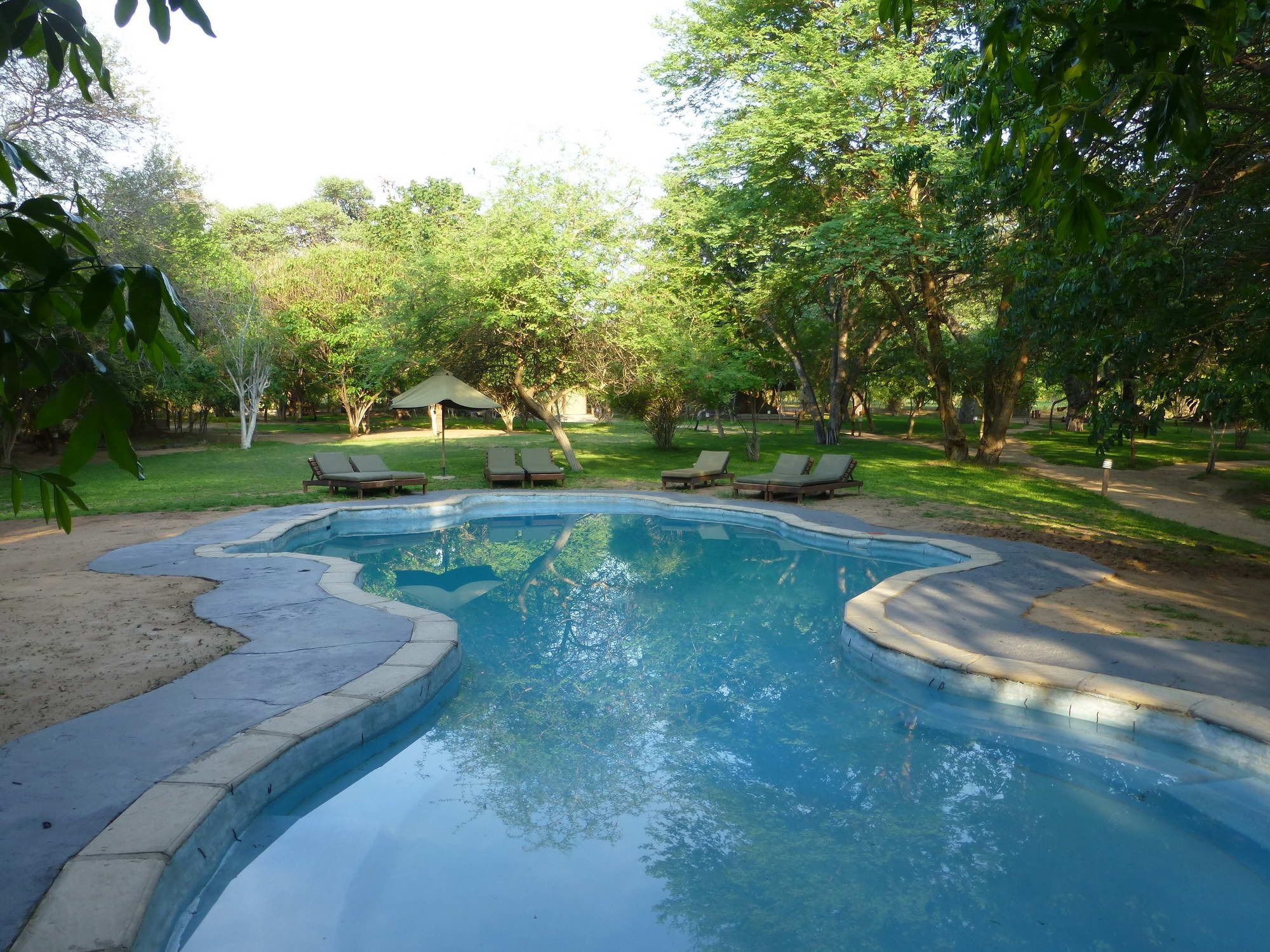 Ein Pool mit gewölbter Kante, umgeben von einer Rasenfläche und Bäumen. Im Hintergrund sind Liegestühle und eine kleine Laube zu sehen.