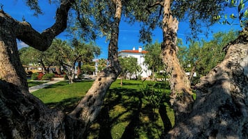 Vista desde la propiedad