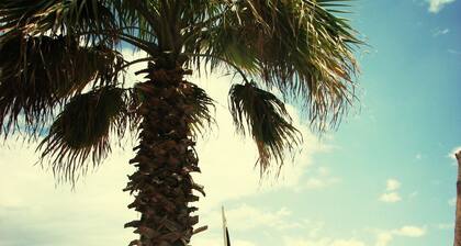 Riccione Beach Hotel