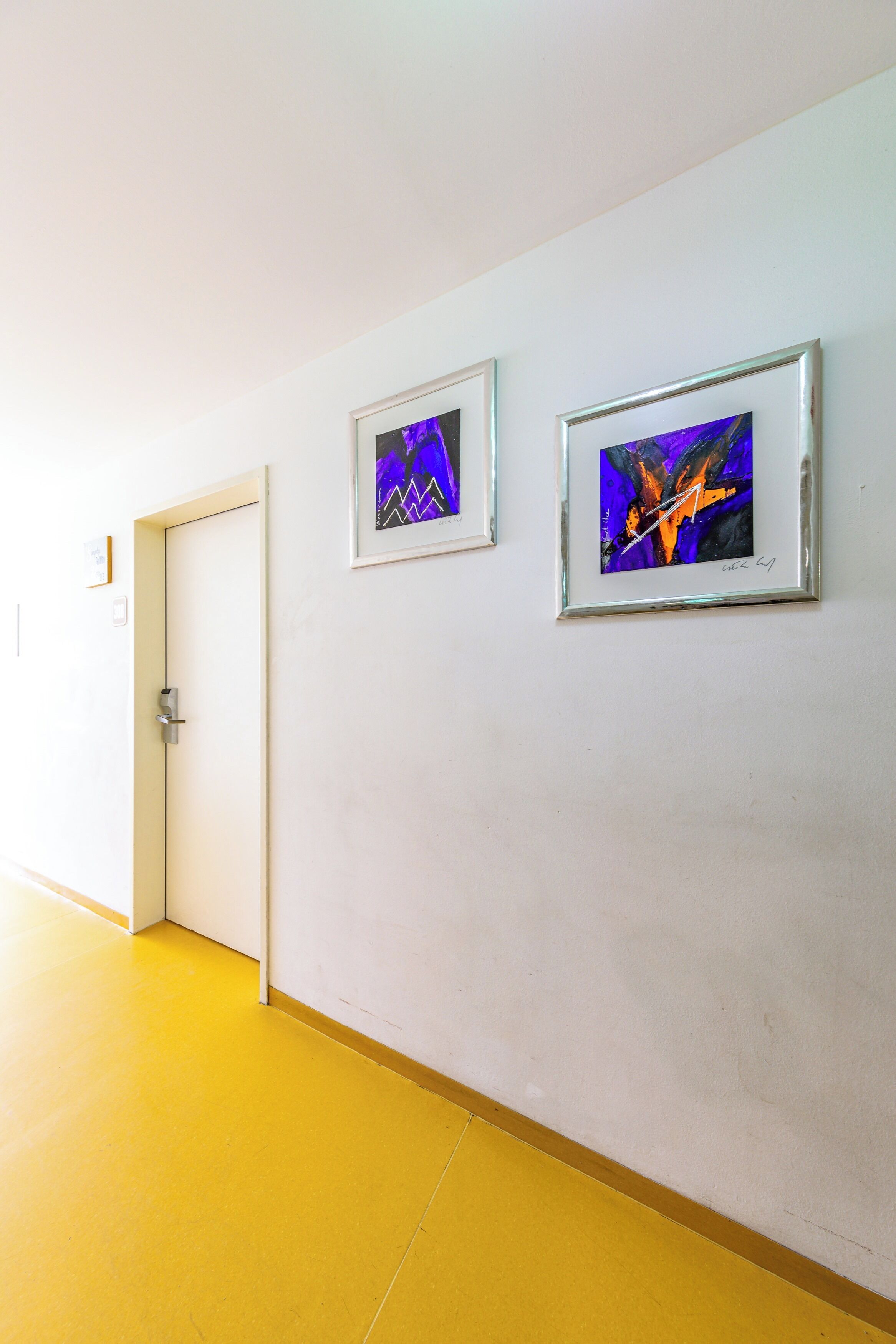 Un pasillo con dos cuadros enmarcados en la pared y una puerta al final.