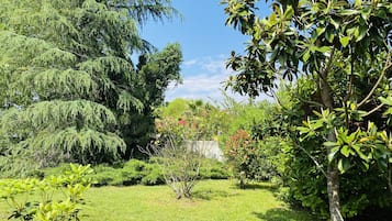 JardĂn