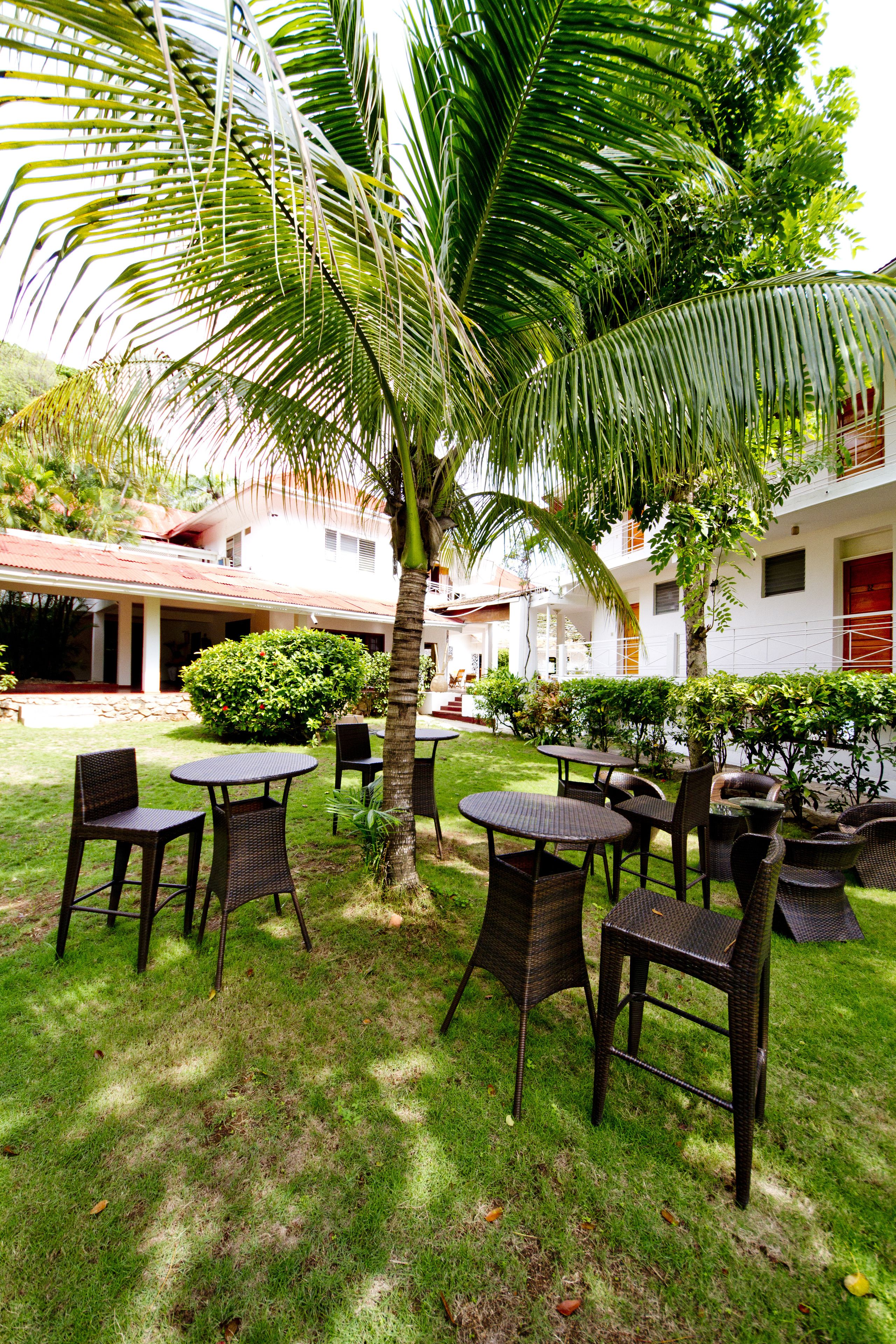 An outdoor seating area with wicker furniture and a palm tree.