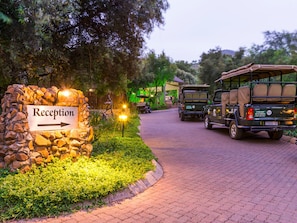 Safari