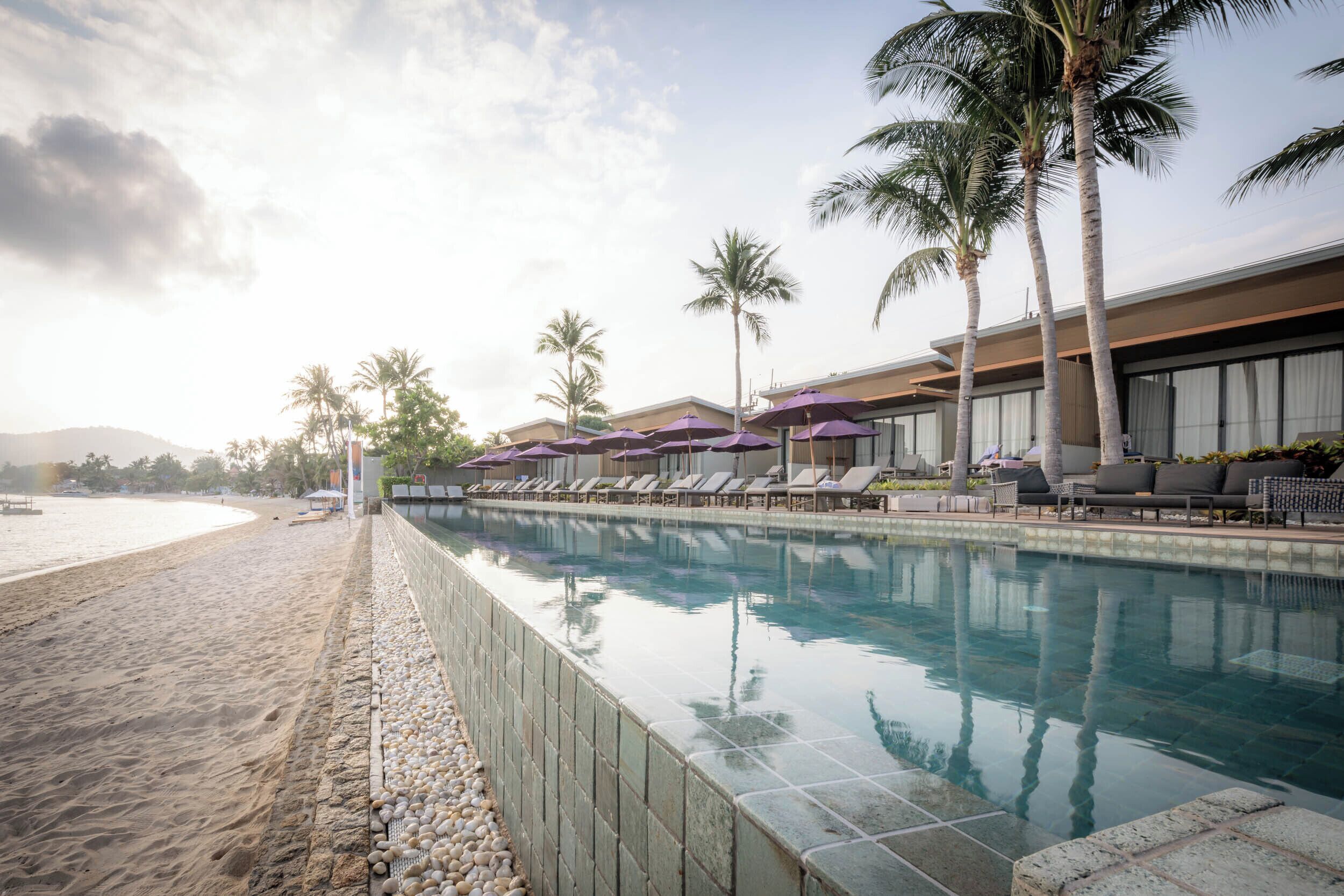 A swimming pool adjacent to a beach with lounge chairs and umbrellas, palm trees, and a building with large windows.