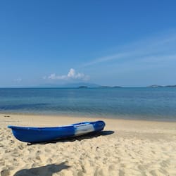 Kayak