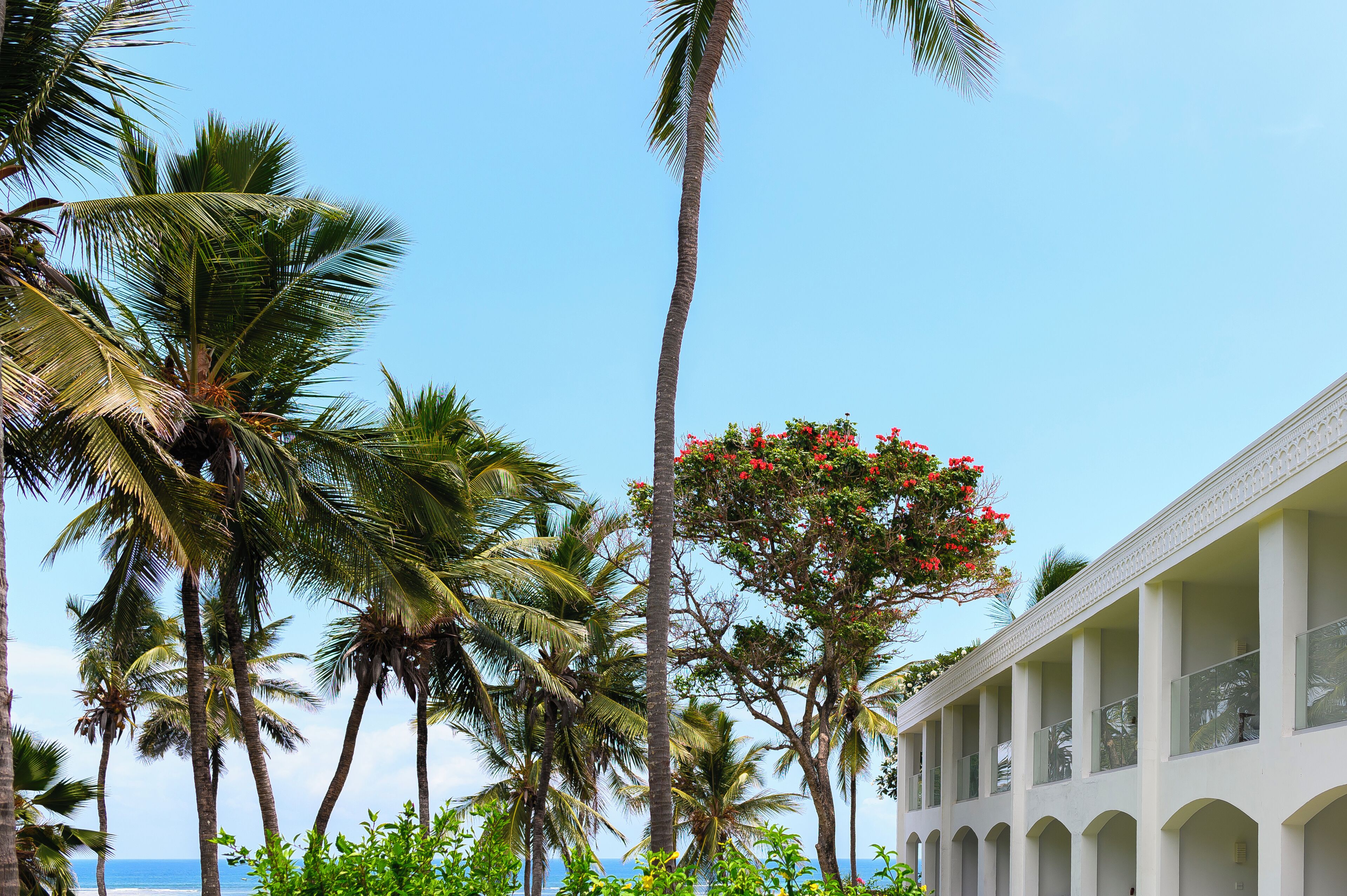 A hotel with a row of arched balconies, palm trees, and a clear blue sky.