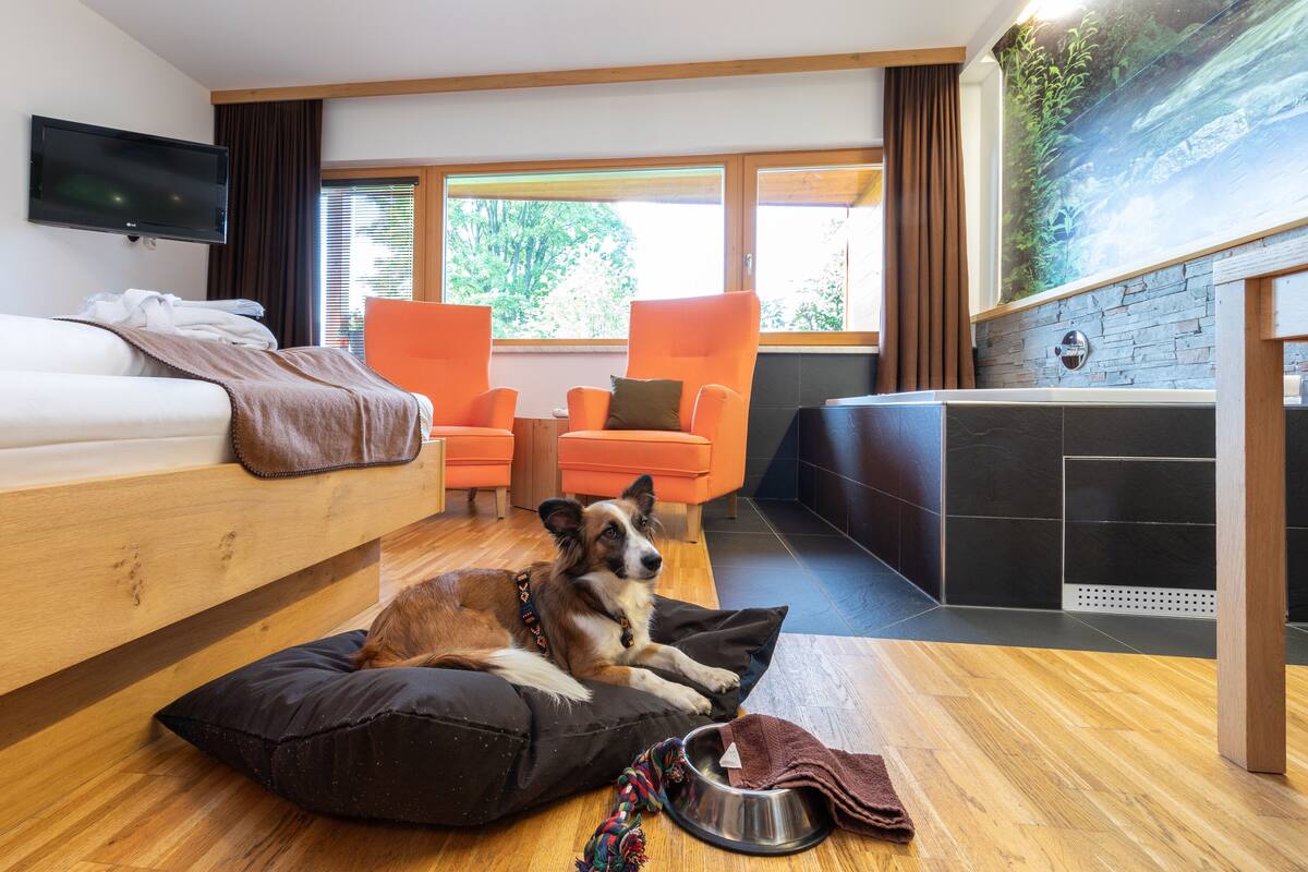 A modern hotel room with a wooden bed, a sofa, two orange armchairs, a dog lying on a black cushion, a pet bed, a TV, and a stone wall with a mural.
