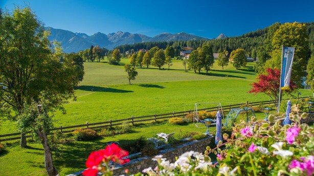 A rural landscape with a green field, trees, a wooden fence, and a stone wall. - Almfrieden (Ramsau am Dachstein)