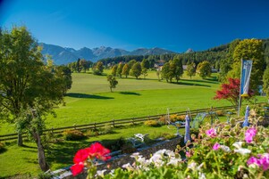 Ländliche Landschaft mit einem grünen Feld, Bäumen, einem Holzzaun und einer Steinmauer.