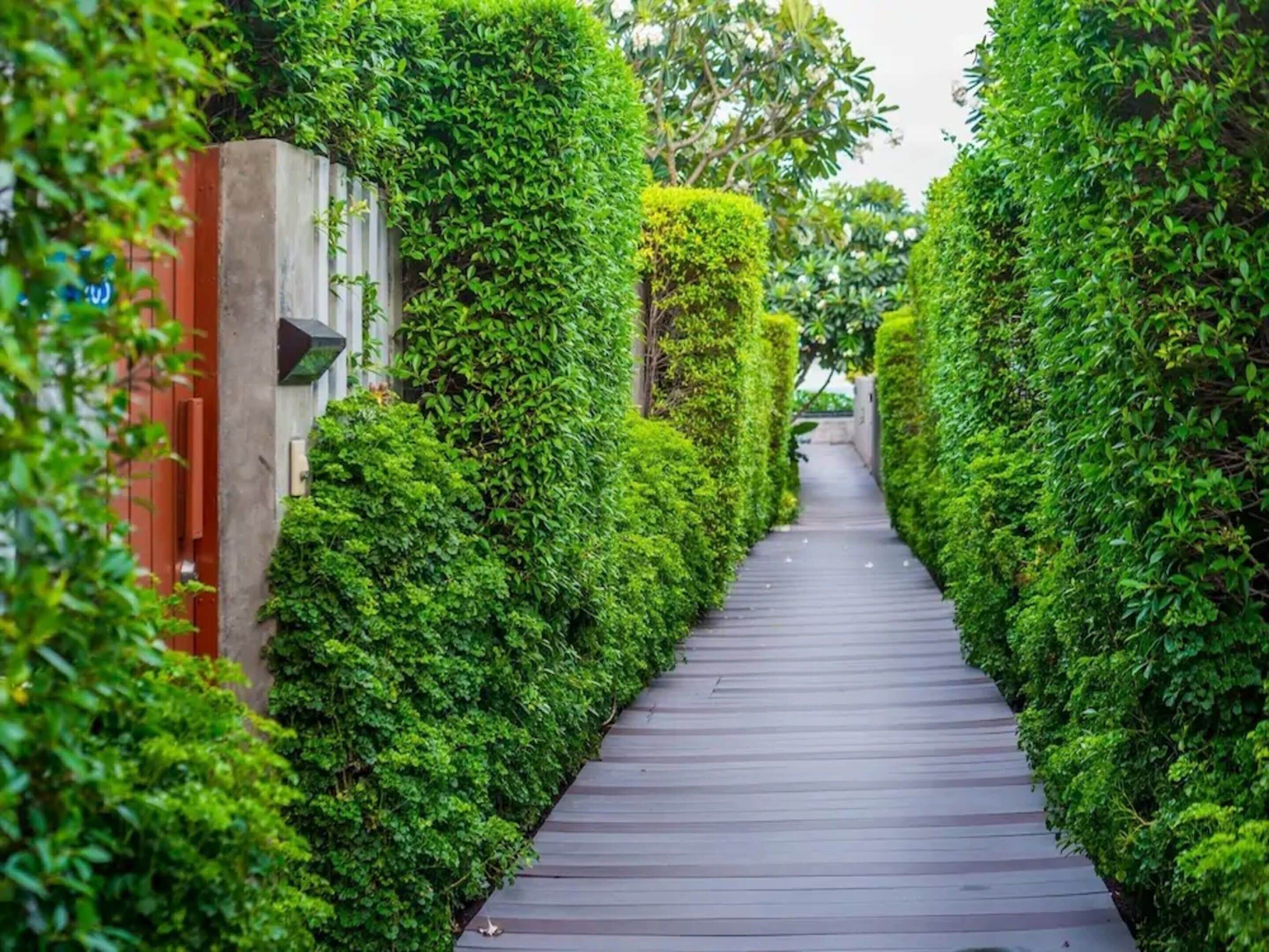 Foto - Synergy Samui