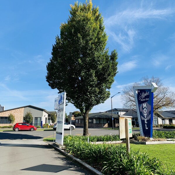 A motel sign with a tree in the foreground. - Alpha Motor Inn (Palmerston North)