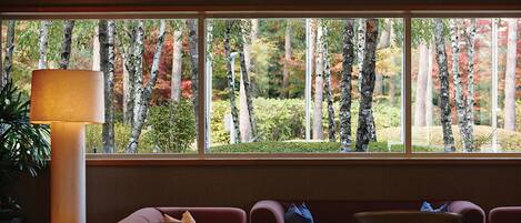A room with a large window offering a view of birch trees and autumn foliage. There is a floor lamp and a row of red sofas.