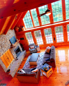 Smart TV, fireplace, video games, DVD player