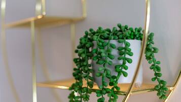 Classic Apartment | Living area