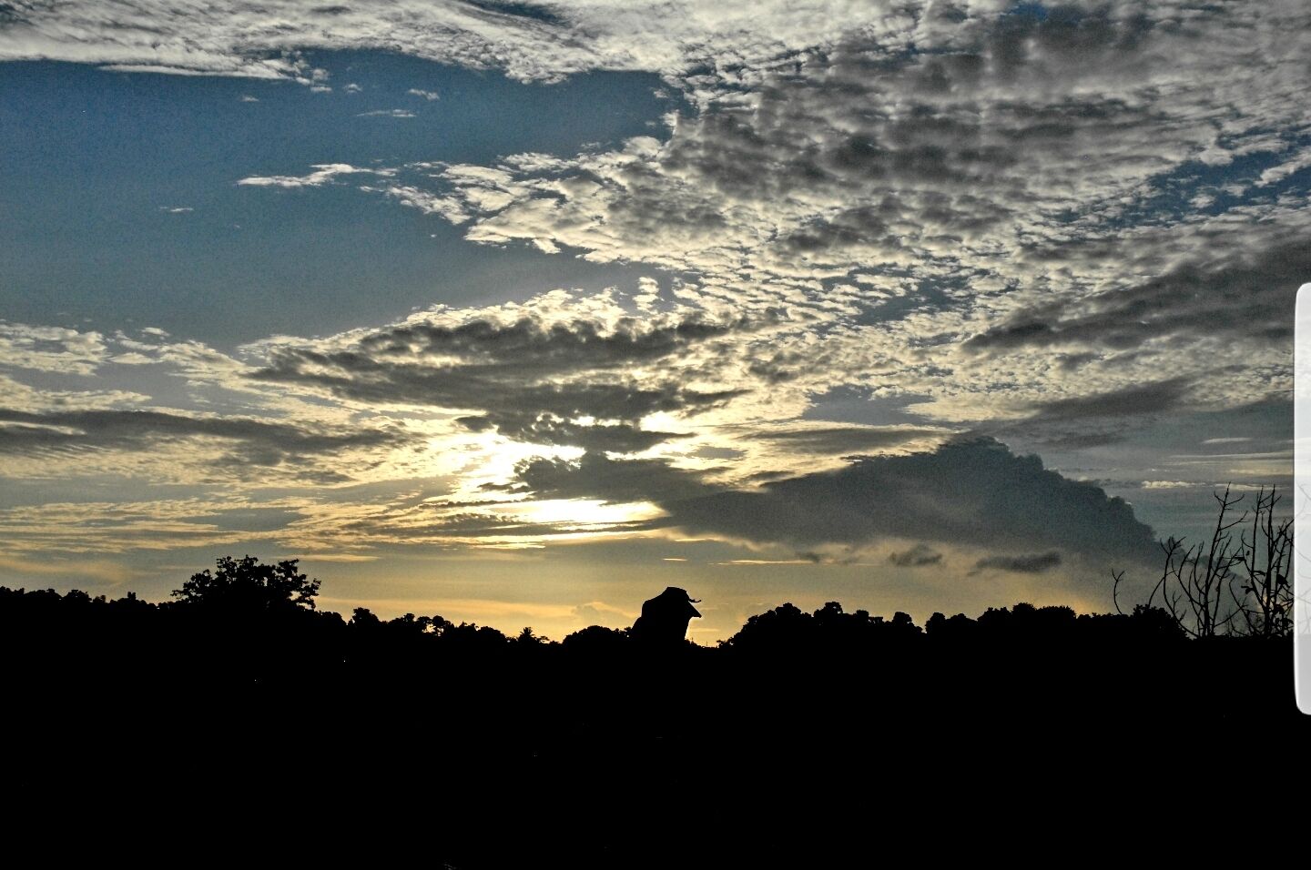 A sunset with clouds over a silhouette of trees and a building.