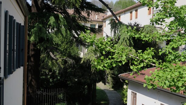 A narrow alleyway with a stone pathway, surrounded by buildings with white walls and brown shutters. - Conti house, a cultural experience in the footsteps of Shakespeare (Padova)