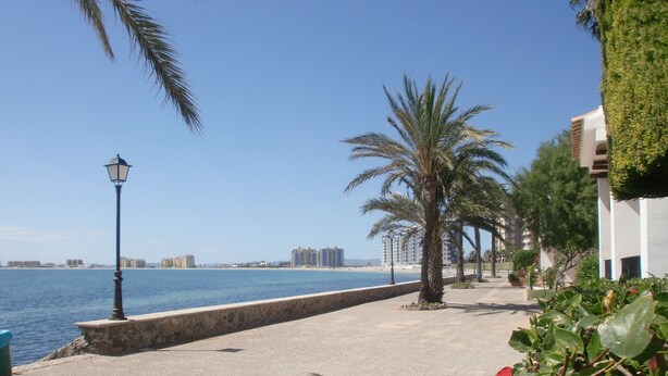 A coastal walkway with palm trees, a lamp post, and a view of the sea and buildings in the distance.
