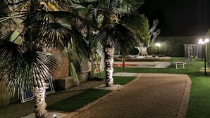 Un espace extérieur bien éclairé, doté d’un chemin pavé, de palmiers et d’une petite fontaine.