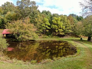 Property grounds - Buffalo Hollow Preserve & Cabin in the Blue Ridge Mountains
Pet Friendly (Riner)