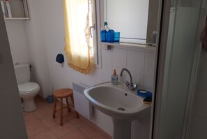 Shower, hair dryer, soap, toilet paper