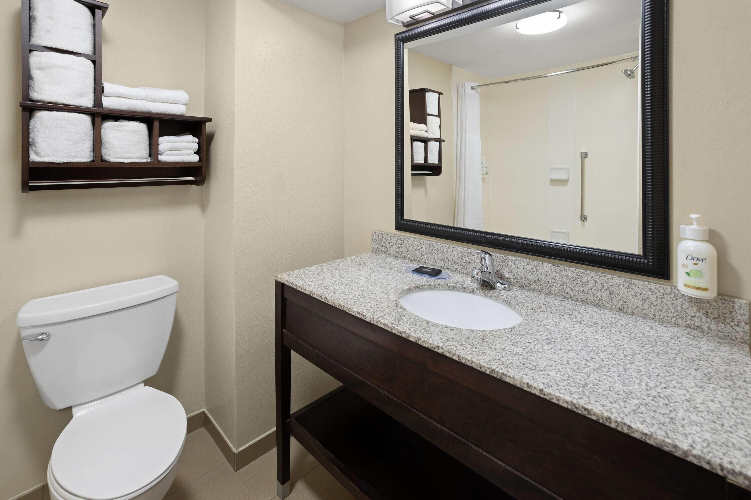 Un bany amb un vàter blanc, un lavabo amb taulell de granit, un moble de tocador de fusta fosca, un mirall gran i un suport de tovalloles amb tovalloles doblades.