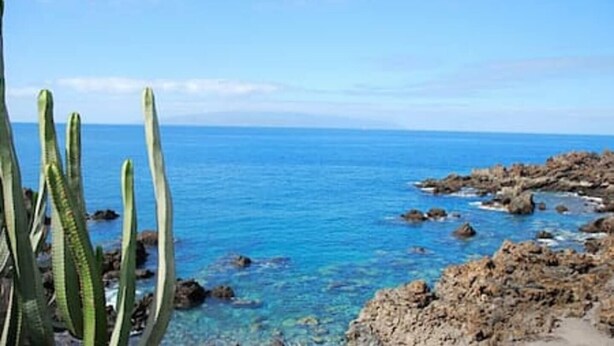 Un paysage côtier caractérisé par une eau d’un bleu limpide, un terrain rocheux et la présence de cactus.
